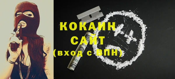 шишки Арсеньев