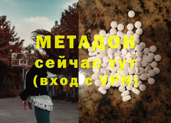 шишки Арсеньев