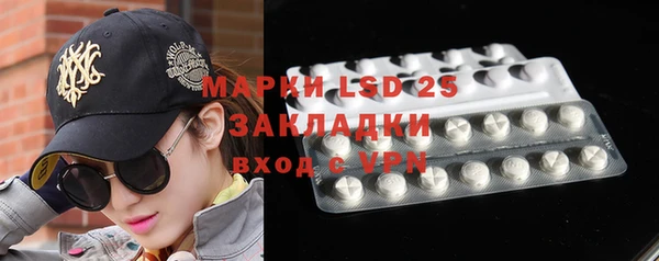 ГАЛЛЮЦИНОГЕННЫЕ ГРИБЫ Аркадак