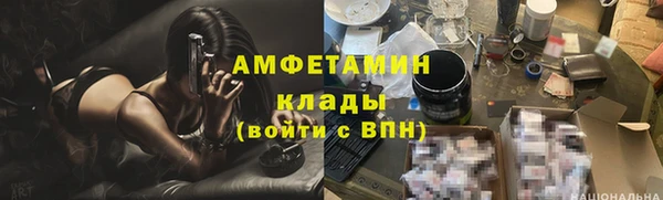 ГАЛЛЮЦИНОГЕННЫЕ ГРИБЫ Аркадак