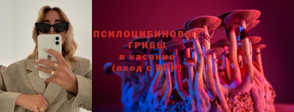 шишки Армянск