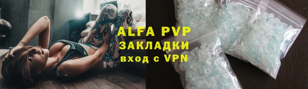 шишки Арсеньев