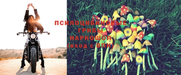 ГАЛЛЮЦИНОГЕННЫЕ ГРИБЫ Аркадак