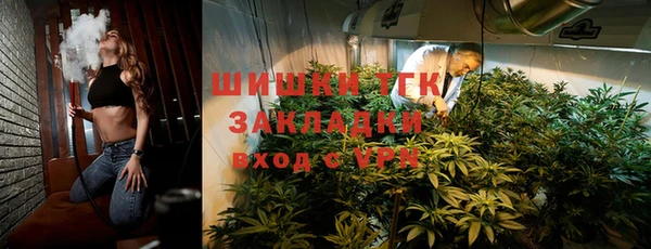 шишки Арсеньев
