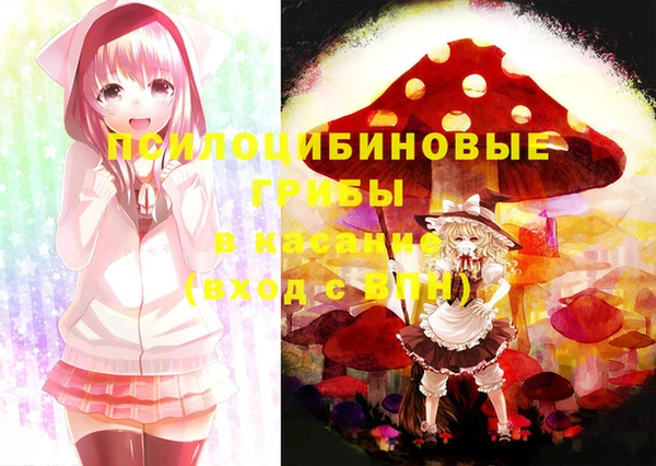 шишки Армянск