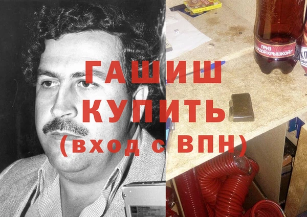 шишки Арсеньев